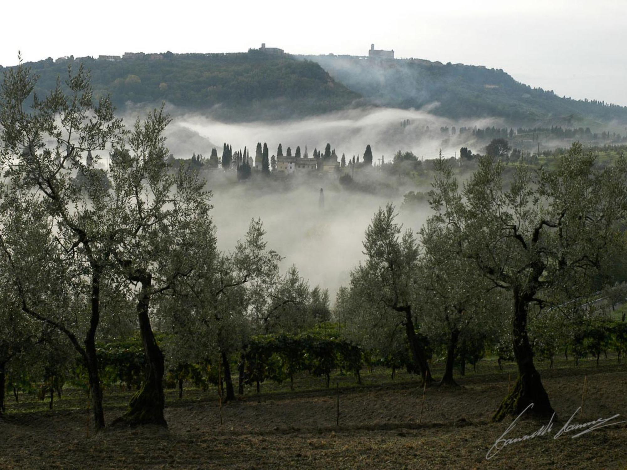 Holiday Home Le Pergole By Interhome Volterra Dış mekan fotoğraf